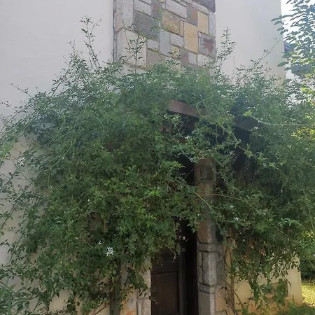 Hotell Iasos Milas
