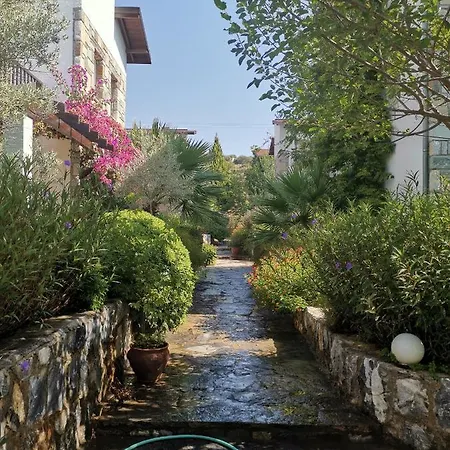 Iasos Hotell *